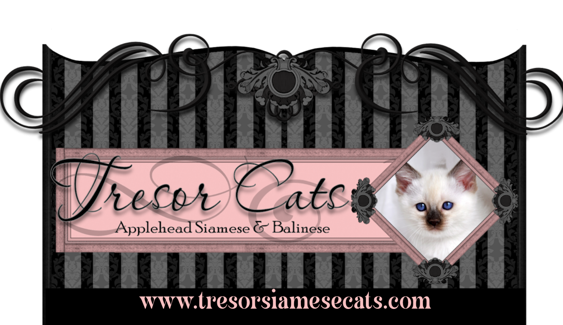 tresorsiamesecats.com logo